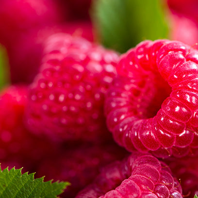 Fruit & Vegetables