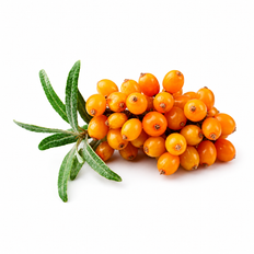 Sea Buckthorn Berries/Frozen, 2.5kg