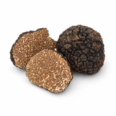 Black Autumn Truffle/T. Uncinatum 12-100g, kg