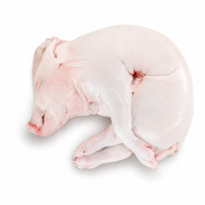 FRZ Whole Iberico Suckling Pig, ~4.5kg x 2/cs