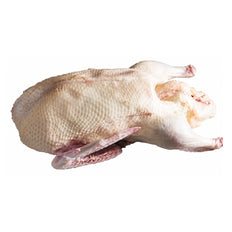 FRZ-Thornhill Whole Duck Dry Plucked ~2kg, IRE,ea