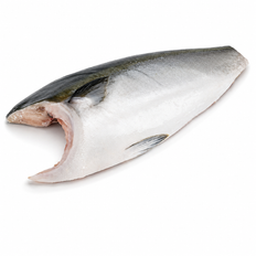 Japanese Hamachi Fillet/Frz ~1.5kg, kg