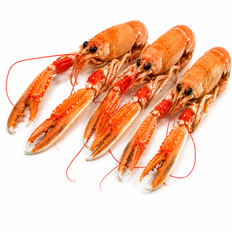 Wild Caught Hebridean Langoustine 3-7, 3kg/cs