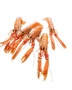 Wild Caught Hebridean Langoustine 8-12, 3kg/cs