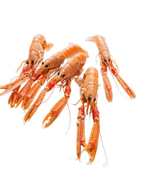 Wild Caught Hebridean Langoustine 3-7, 3kg/cs