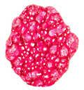 010.500.080_1.png