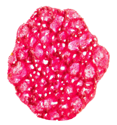 010.500.080_1.png