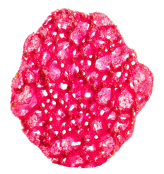 010.500.080_1.png