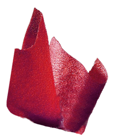 080.500.019_1.png