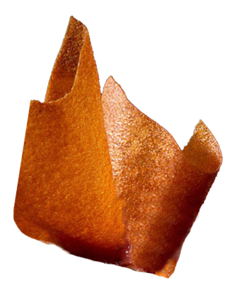 080.500.024_1.png