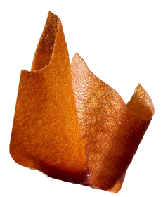 080.500.024_1.png