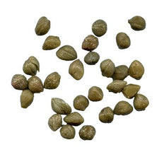 150.300.010_1_1.jpg