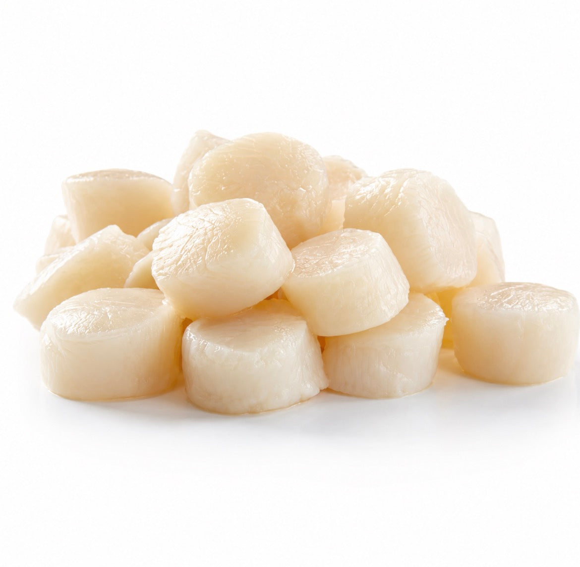 Wild Scottish Scallops Roe-off 10/20 ~45/1kg