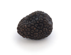 Fresh Black Summer Truffle 15g+, kg price