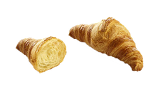 010.100.005_1.png