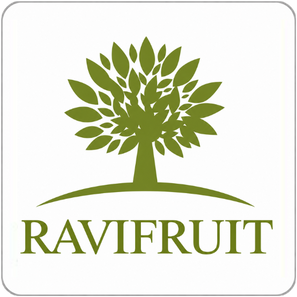 Brand transparent image